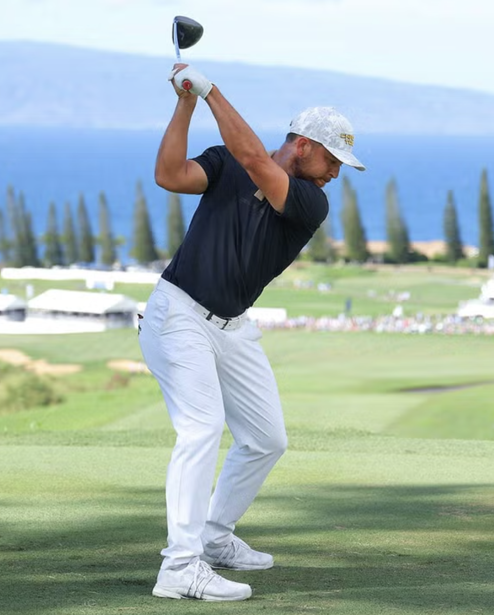 Fairway Golfer Fairway Golfer